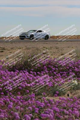 media/Jan-08-2023-SCCA SD (Sun) [[8f6a5b9391]]/Advanced Group/Session 2 (Short Straight)/